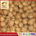 Hot Sale Walnut Kernels From China